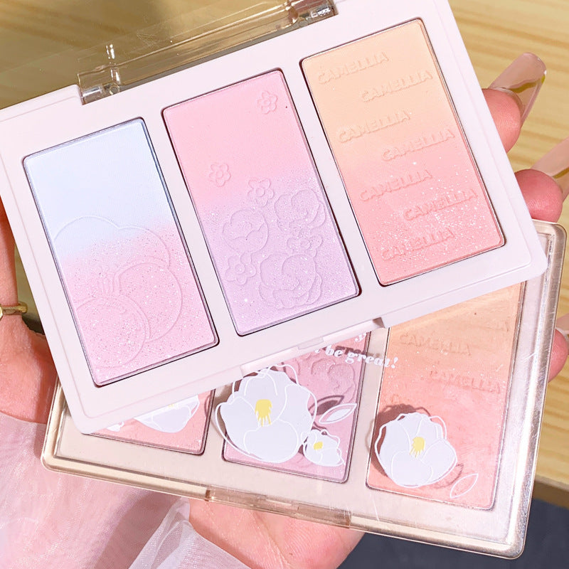 Three-color Shading Powder Plate In Tea