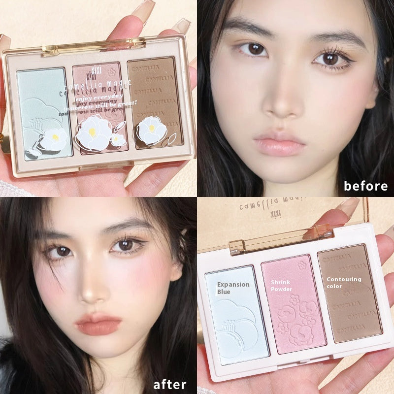 Three-color Shading Powder Plate In Tea
