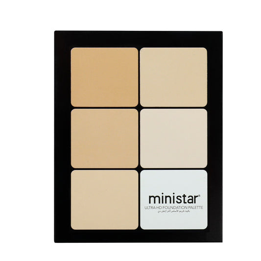 Skin Color Multicolor Rouge Compact Concealer Plate