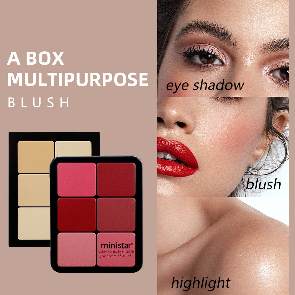 Skin Color Multicolor Rouge Compact Concealer Plate