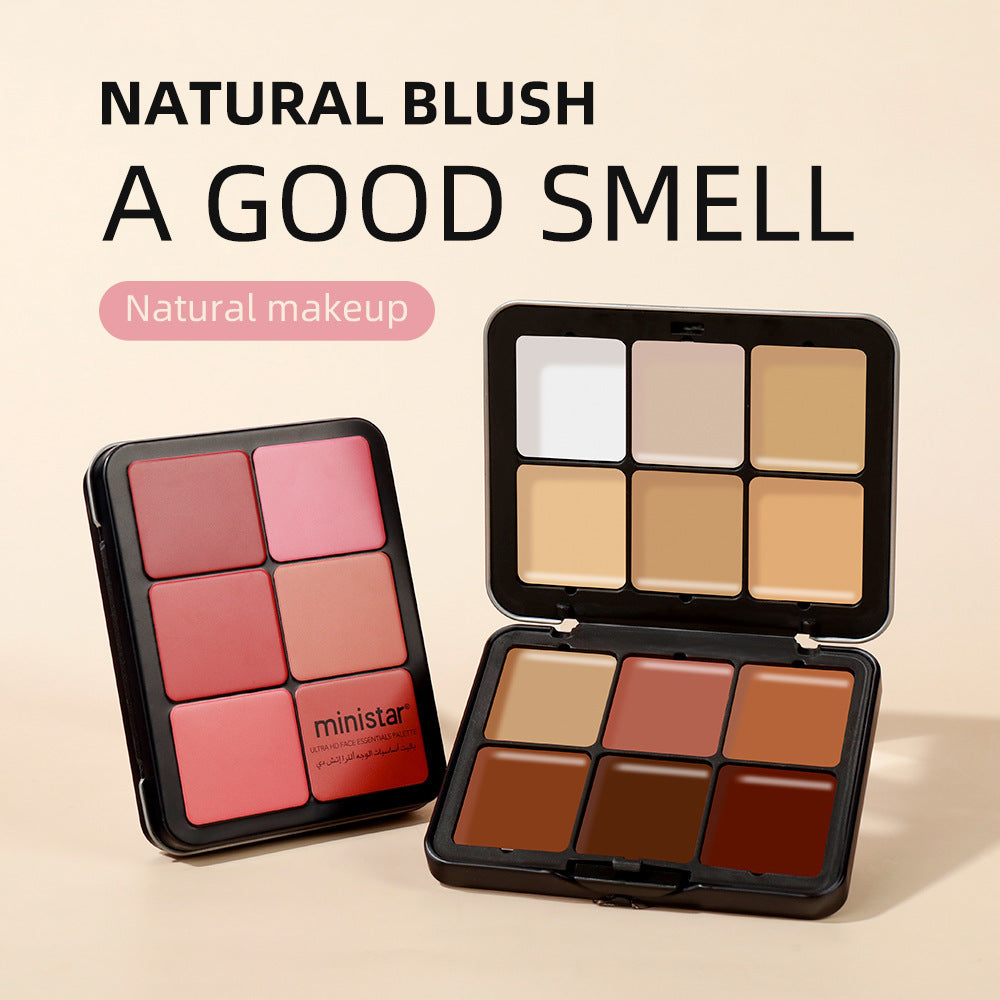 Skin Color Multicolor Rouge Compact Concealer Plate