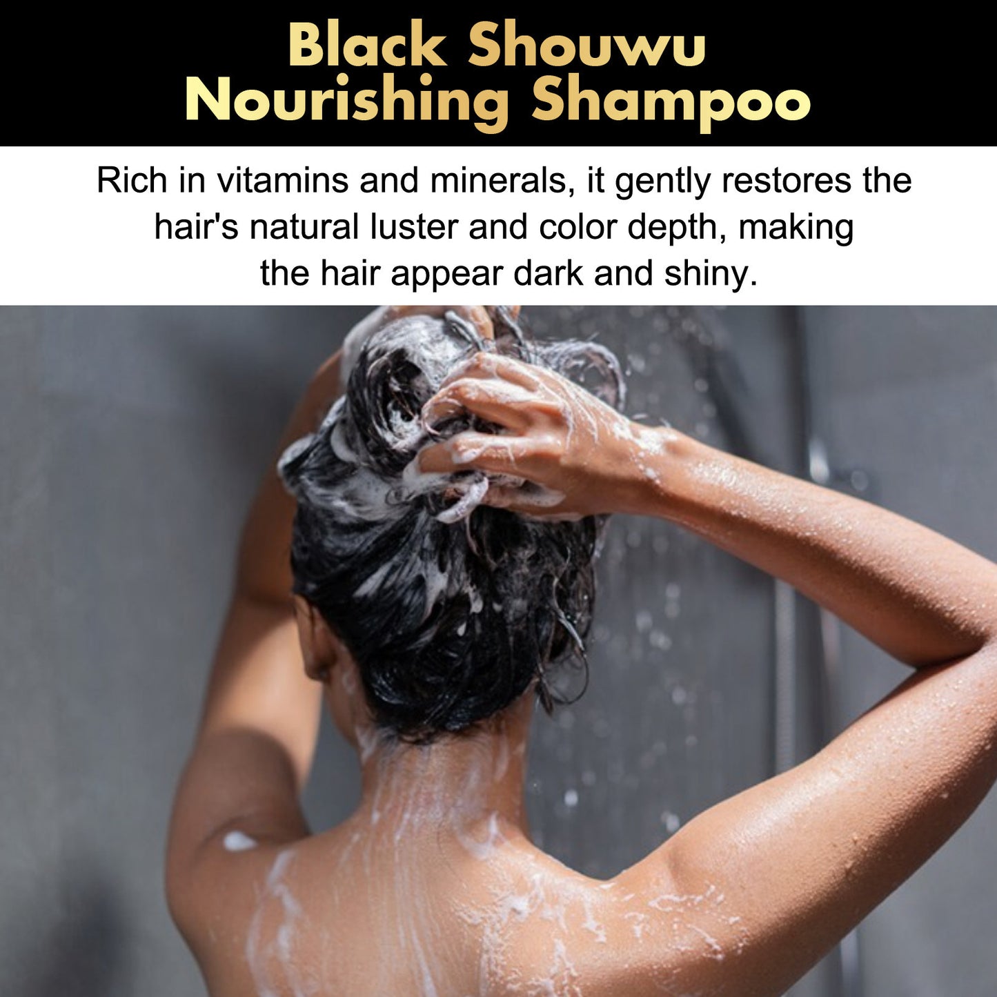Black Ganoderma Lucidum Polygonum Multiflorum Shampoo