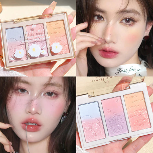 Three-color Shading Powder Plate In Tea