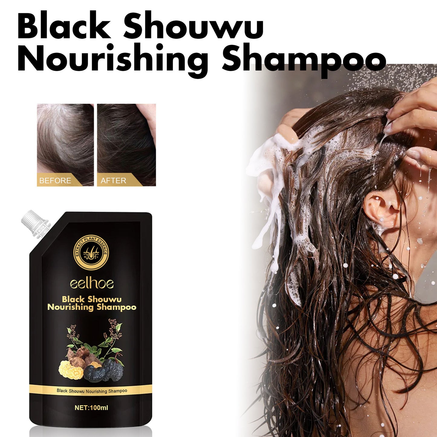 Black Ganoderma Lucidum Polygonum Multiflorum Shampoo