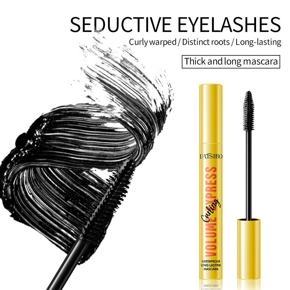 Thick Curl Durable Waterproof And Sweatproof Not Smudge Mascara
