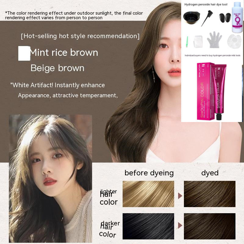 Ammonia-free Hair Color Paste Monochrome Paste Cover White Hair Multi-segment Color One-step Black Tea Gray Blue Black Hair Dye